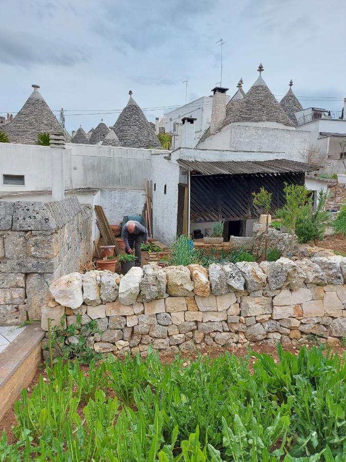 Il Trullo Di Giada E Mattia Villa Alberobello Eksteriør bilde