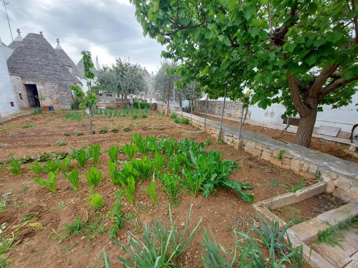 Il Trullo Di Giada E Mattia Villa Alberobello Eksteriør bilde