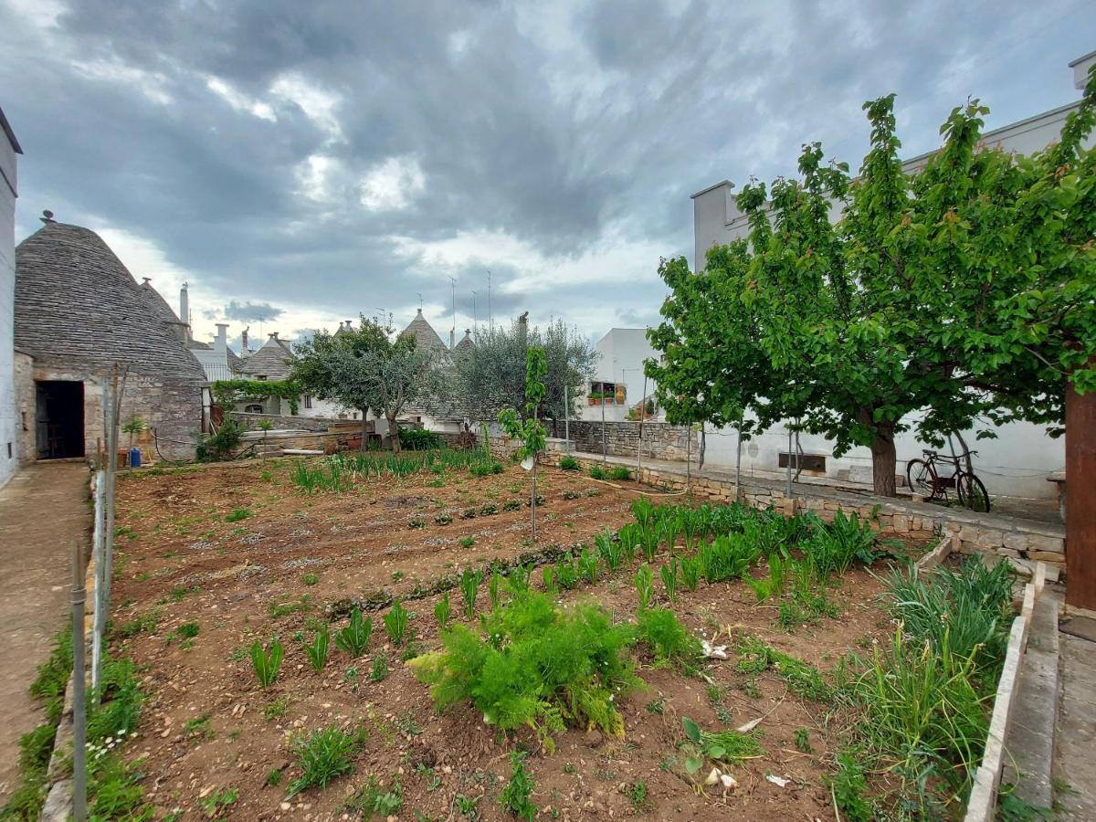 Il Trullo Di Giada E Mattia Villa Alberobello Eksteriør bilde