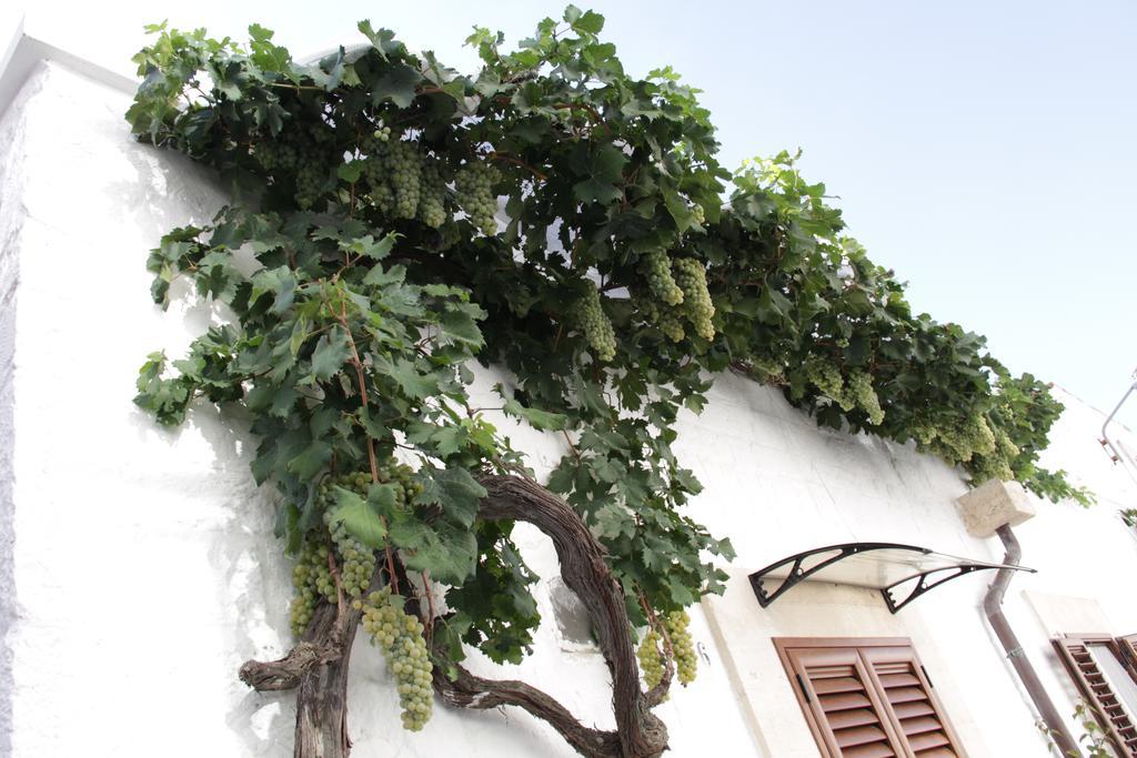 Il Trullo Di Giada E Mattia Villa Alberobello Eksteriør bilde